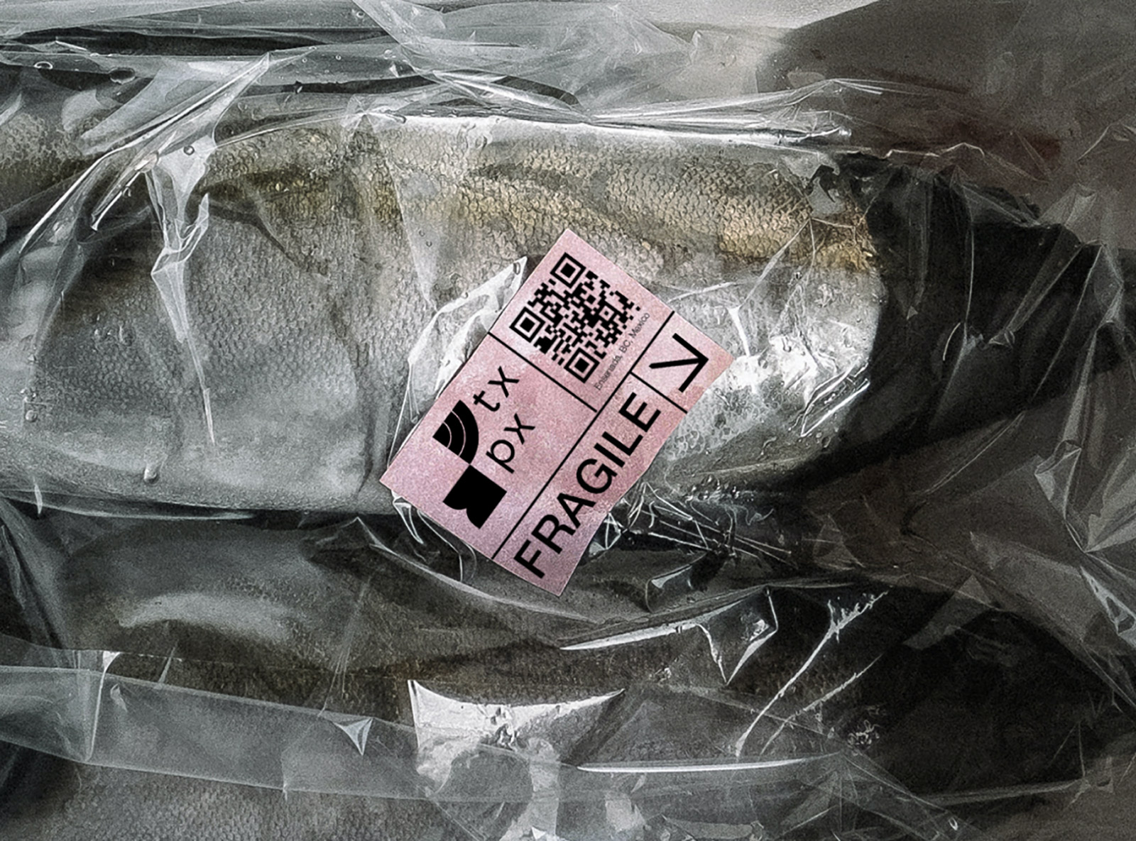 TXPX