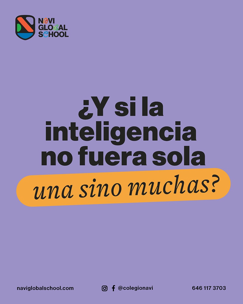 image 11 Navi Global School poster about multiple intelligences